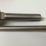 Two stainless steel fasteners